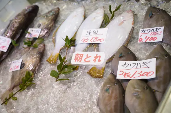 Himi Banya-gai Harbour Market and Soyu Onsen Village-3