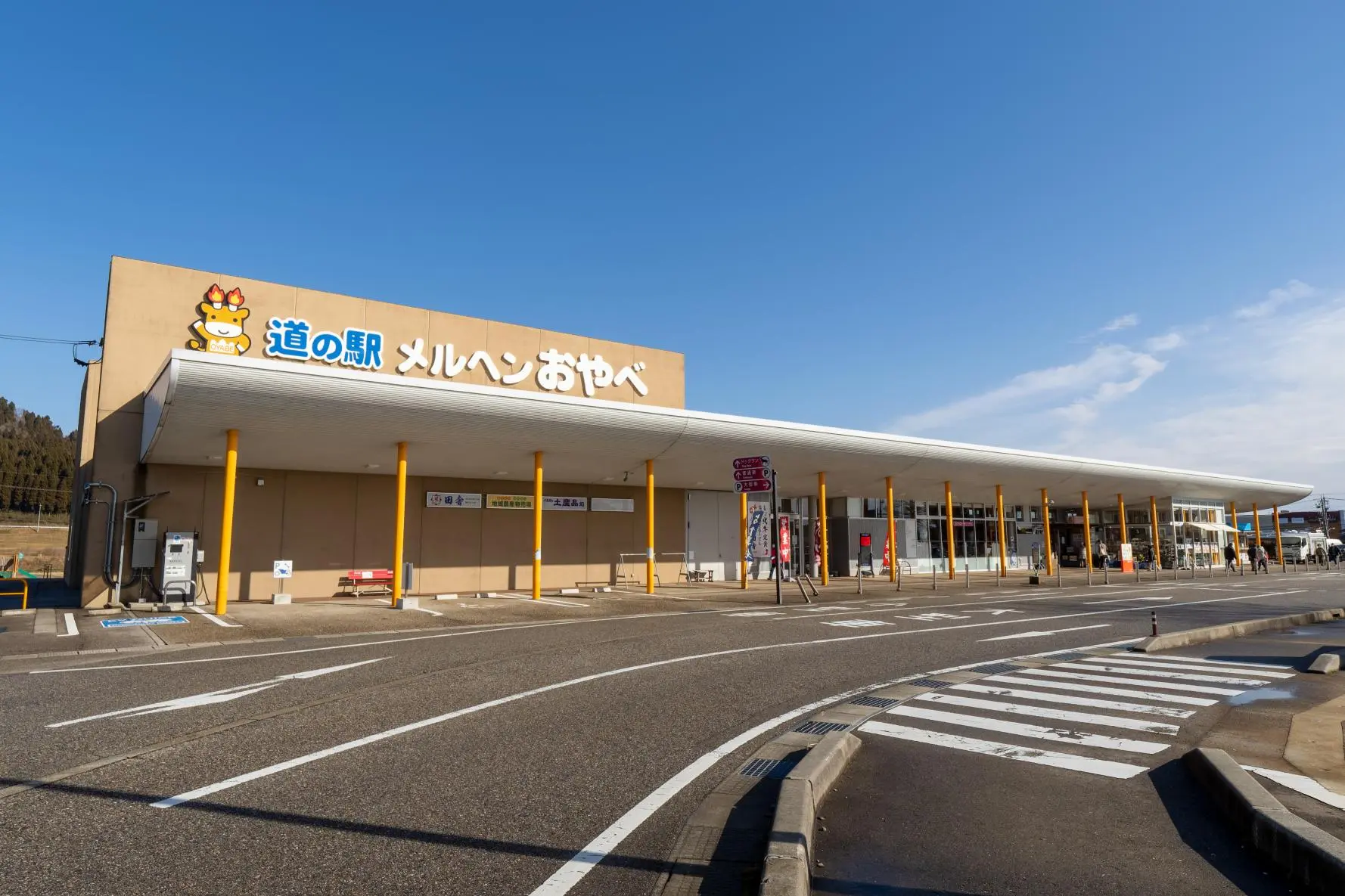 建物の裏にはドッグランや大型遊具が！