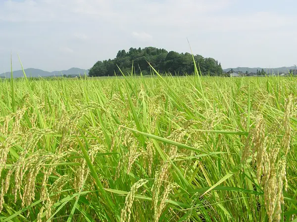 布勢の円山-2
