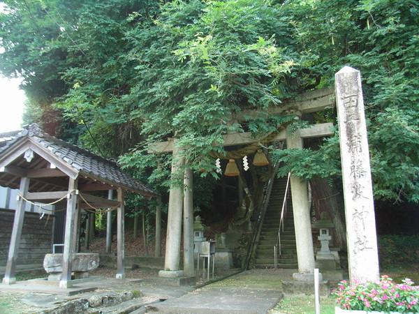 藤波神社