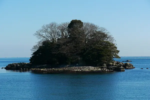 木々が生い茂る唐島