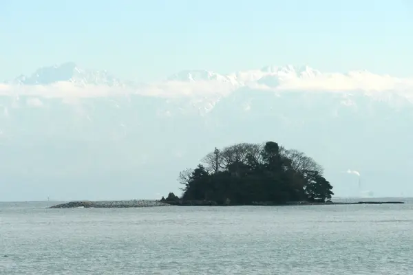 唐島-2