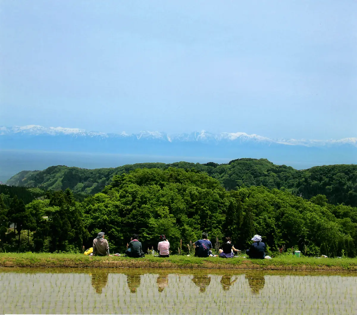 長坂の棚田-7