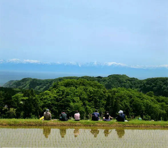 長坂の棚田-7