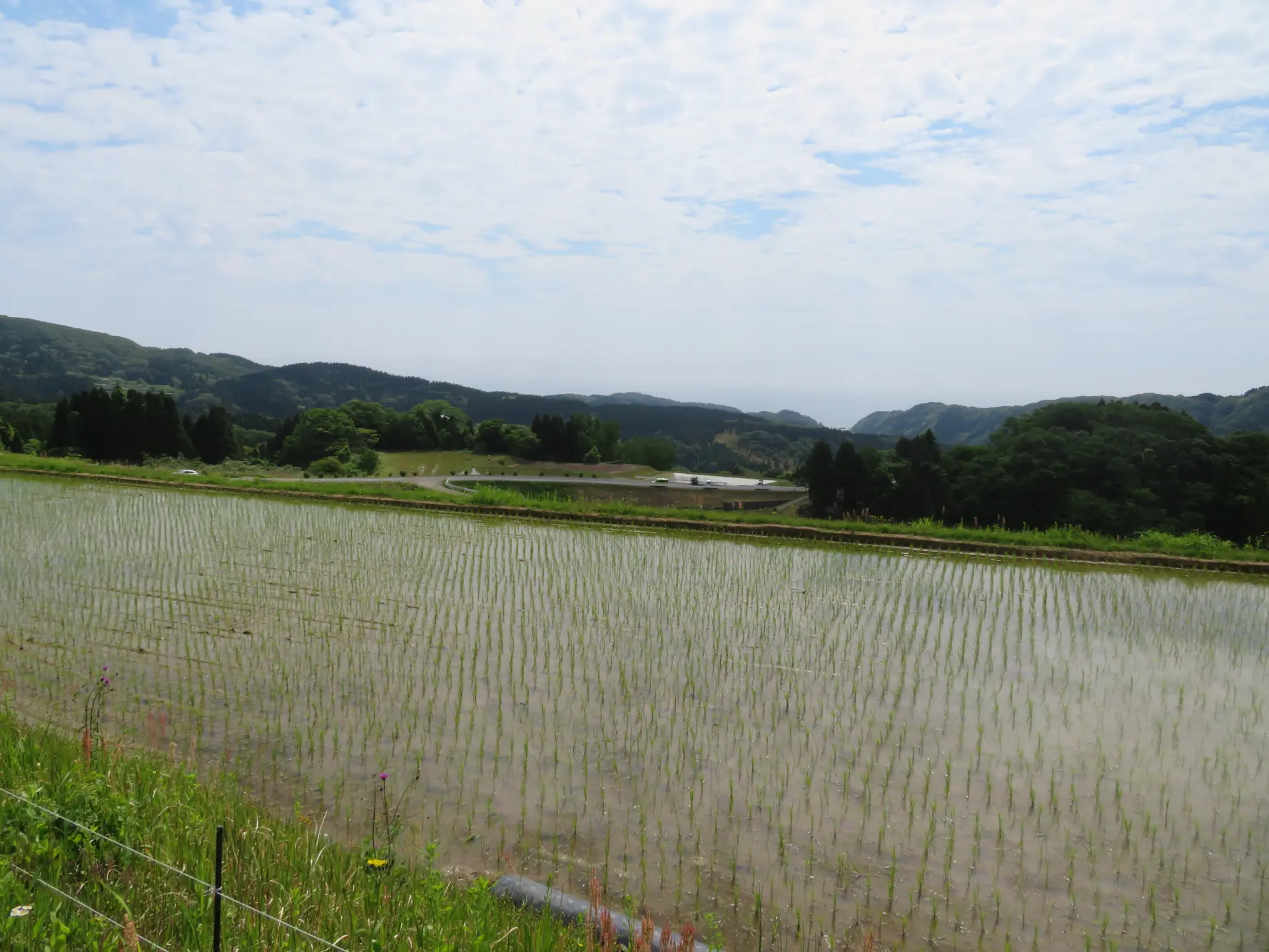 長坂の棚田-3