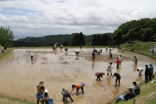 長坂の棚田-6