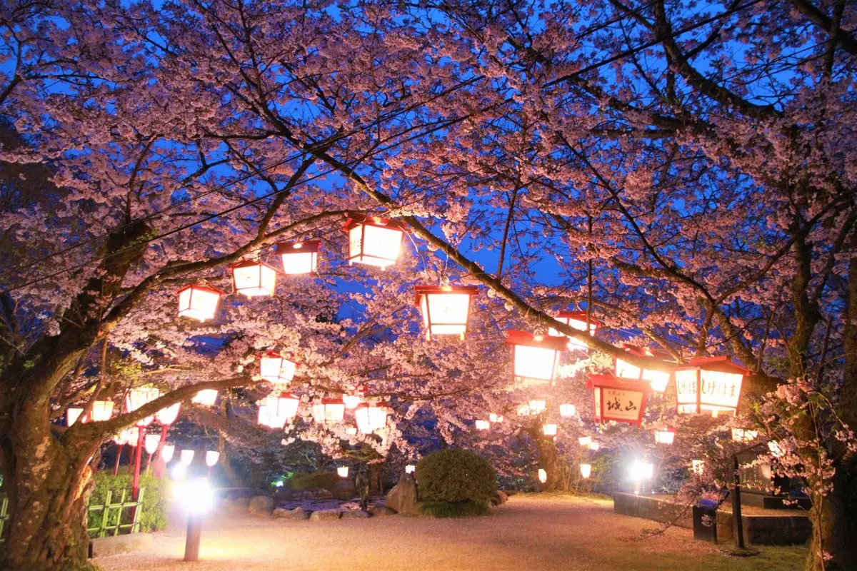 朝日山公園-3