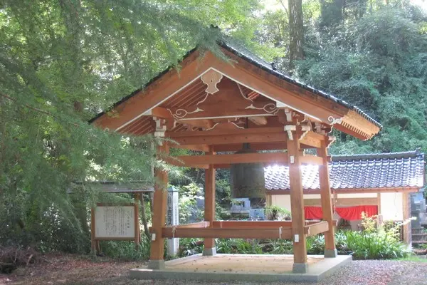 上日寺のイチョウ-2