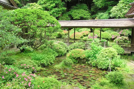 光久寺の茶庭-0