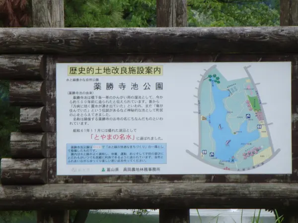 薬勝寺池公園-1