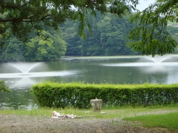 噴水がきれいです