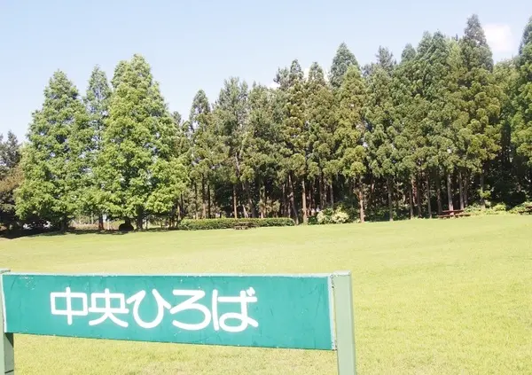 県民公園新港の森-1