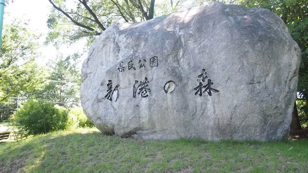新湊の森のシンボル