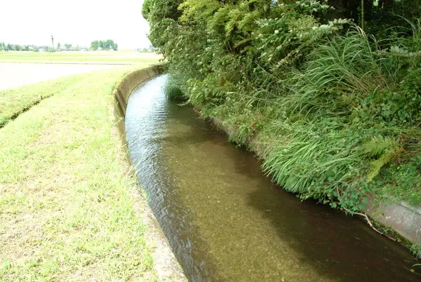 トミヨの生息地としても有名
