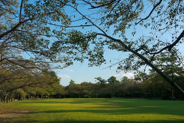 Takaoka Kojo Park (Takaoka Castle Ruins)-5