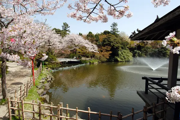 Takaoka Kojo Park (Takaoka Castle Ruins)-1