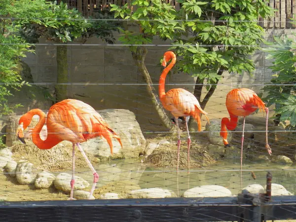 高岡古城公園動物園-2