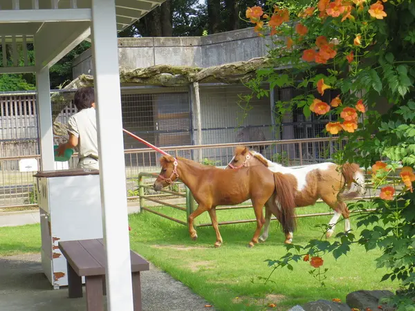 いろんな動物にふれあえます！
