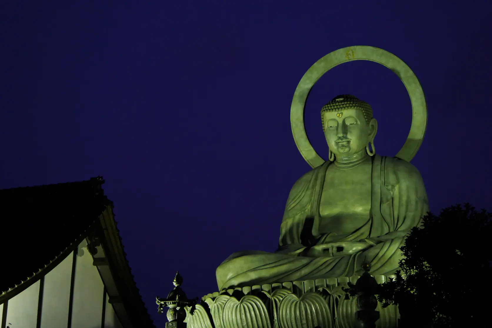 ライトアップされたお姿も幻想的