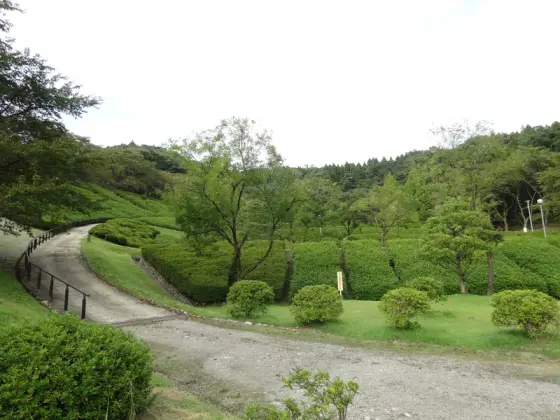 水道つつじ公園-3