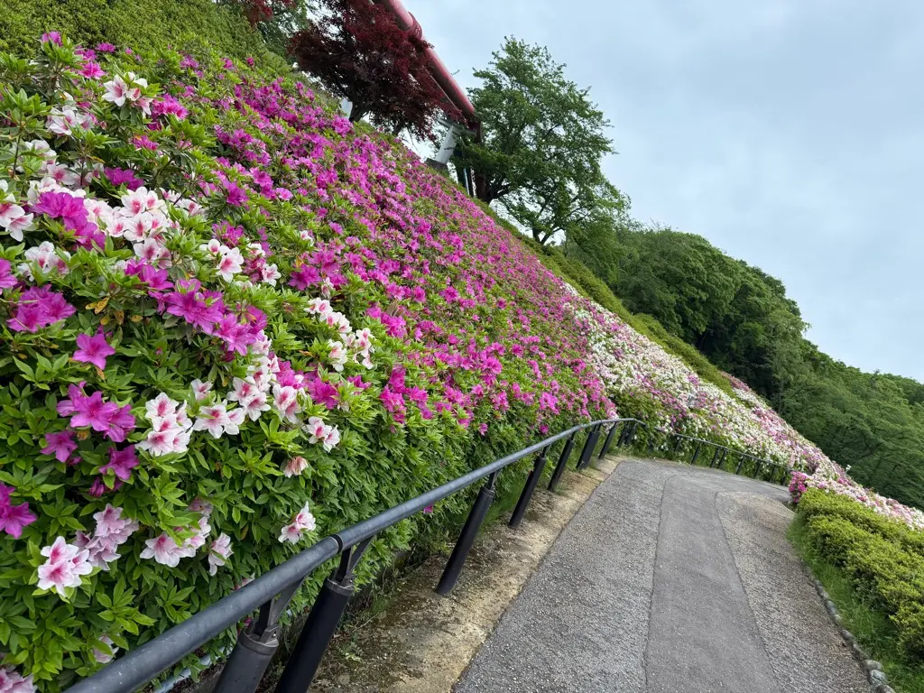 水道つつじ公園-1