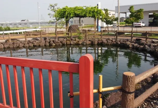 福岡鯉の里公園-2