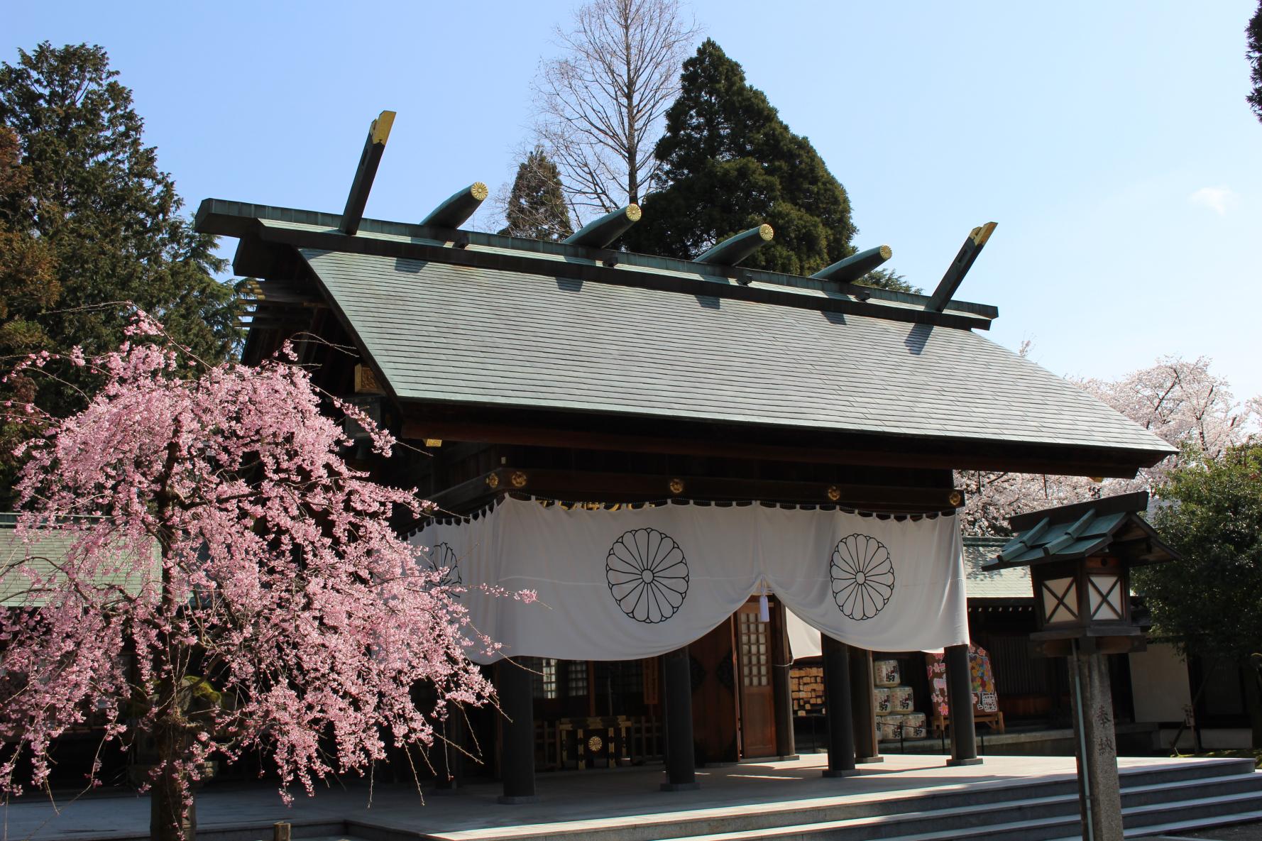 由緒正しい越中国一宮射水神社