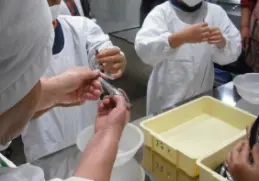 体験の様子