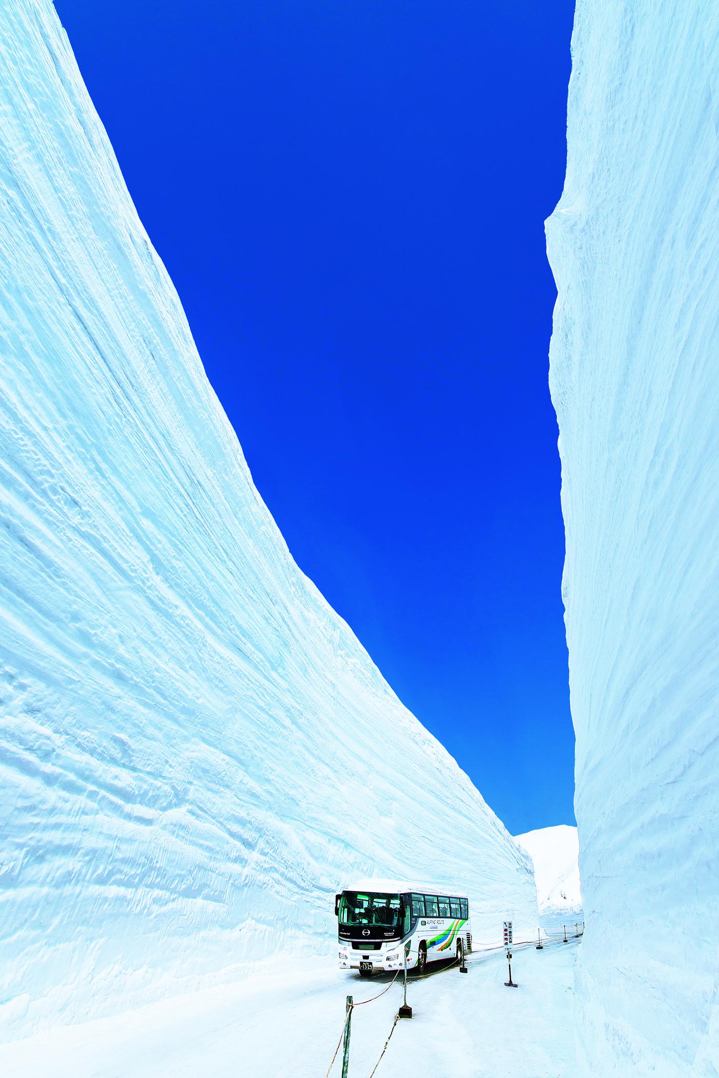 立山黒部アルペンルート：雪の大谷ウォーク-8