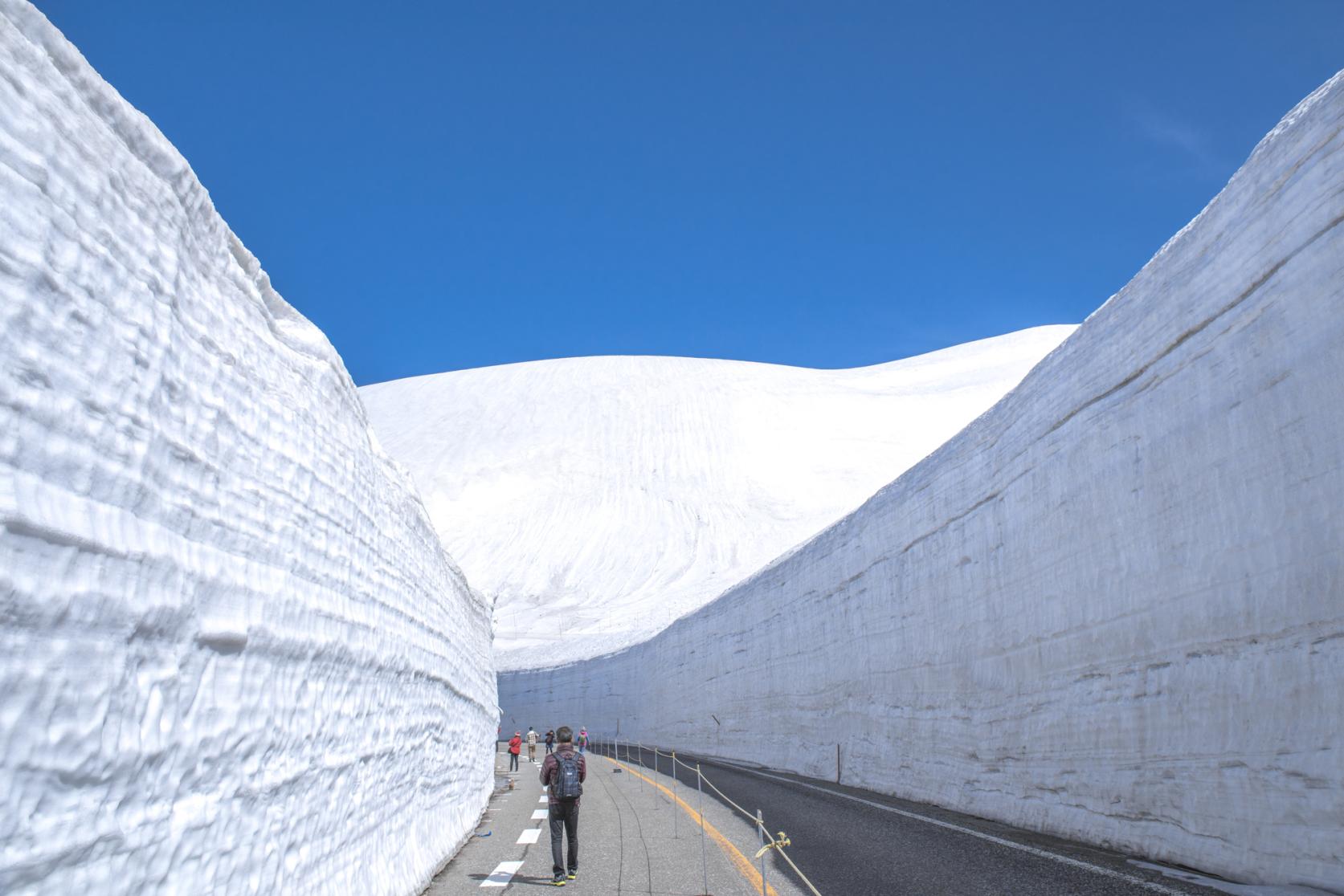 다테야마(立山)/ 눈의 대계곡 워킹-10