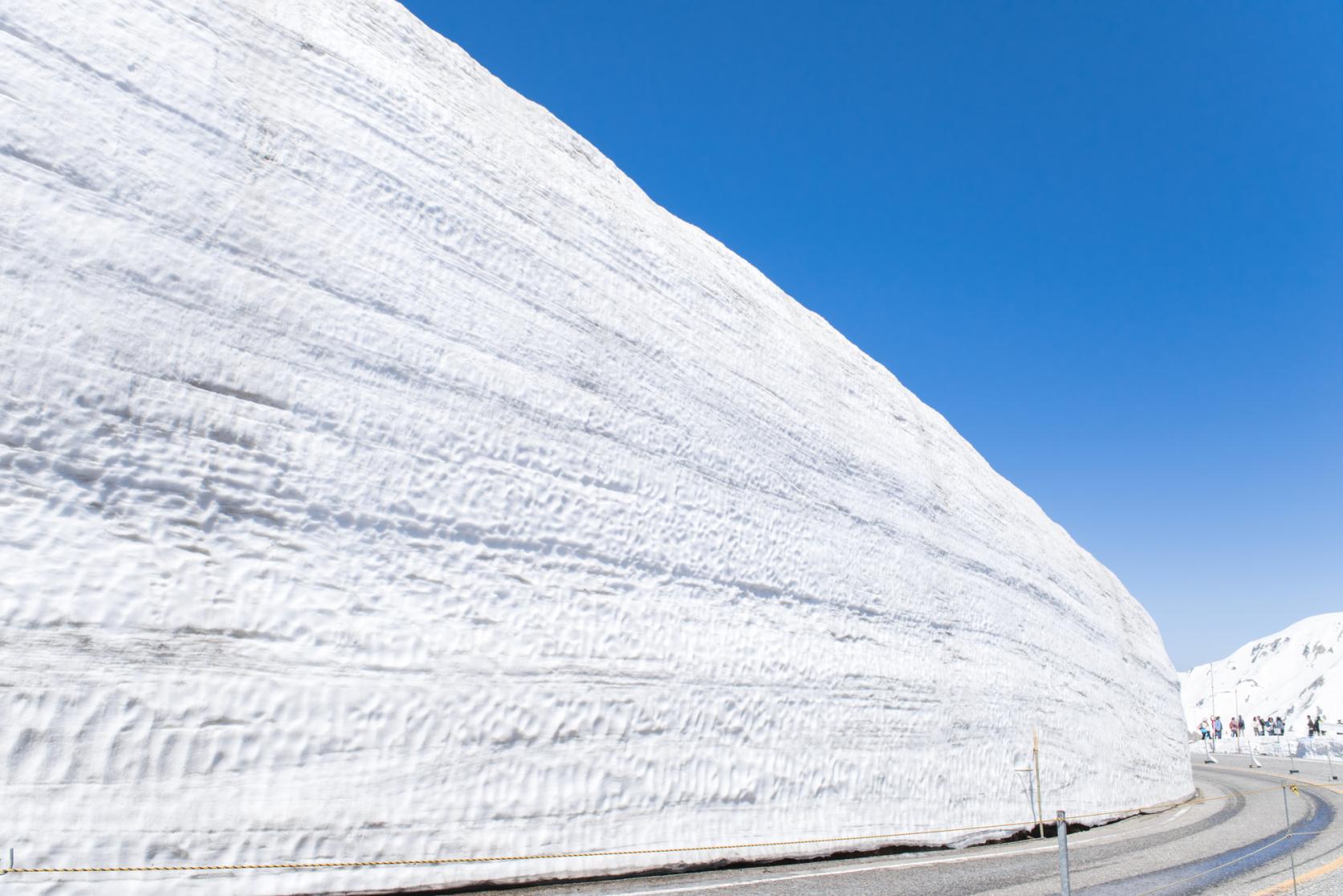 다테야마(立山)/ 눈의 대계곡 워킹-9