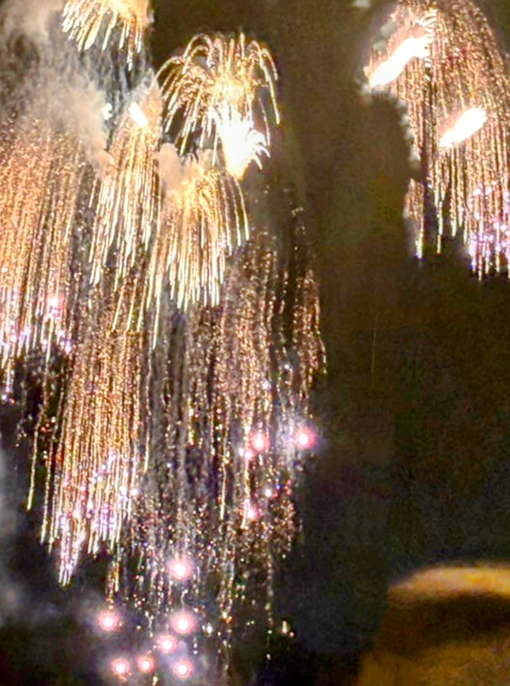 2025　ふるさと観光上市まつり-4