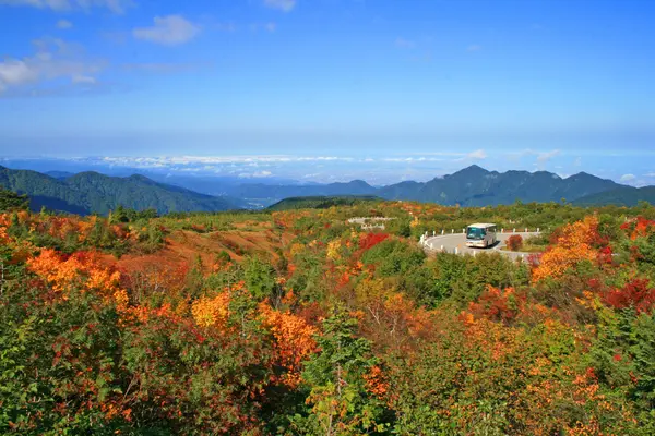 立山黒部アルペンルート-1