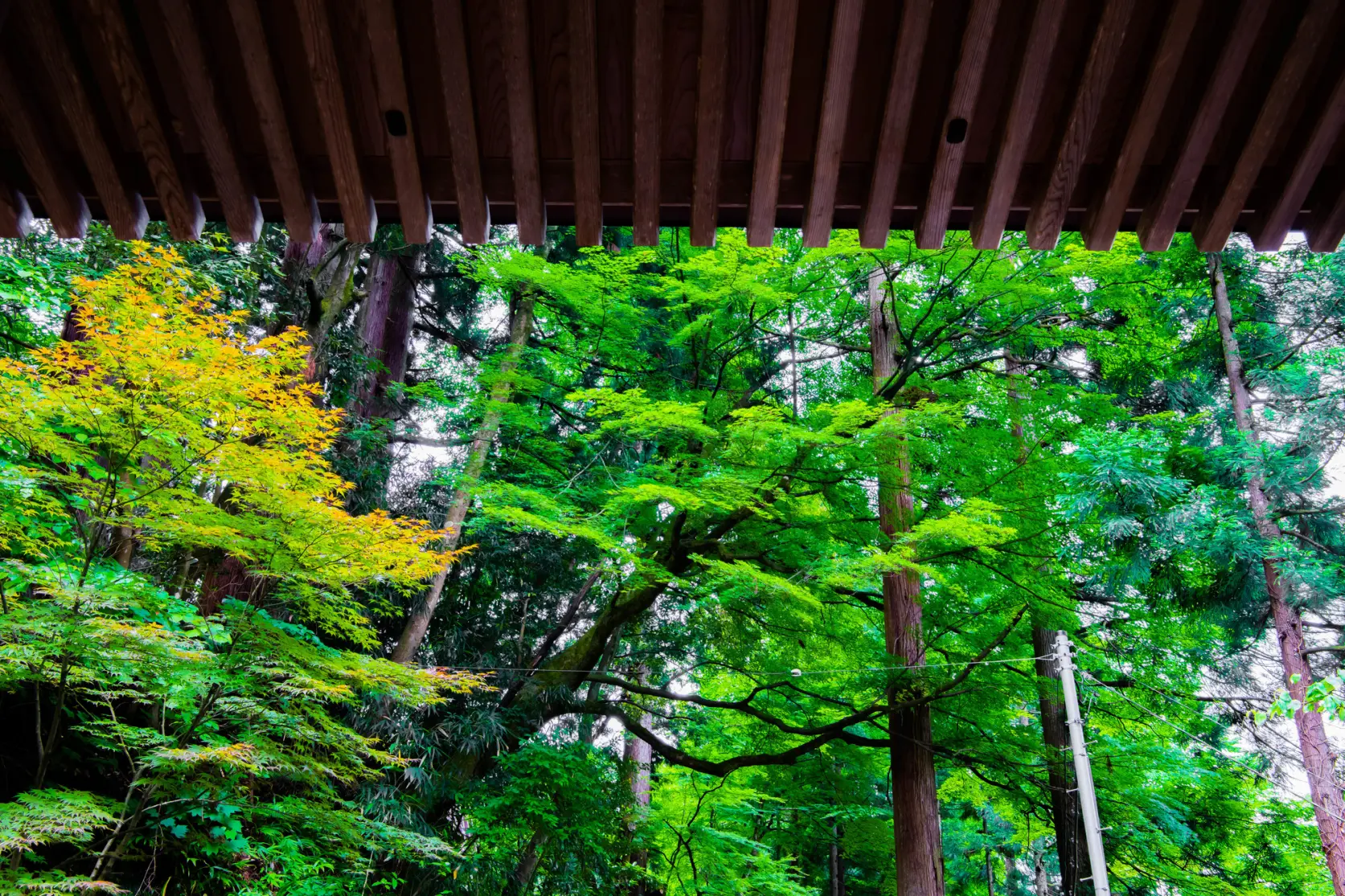 大岩山日石寺-5