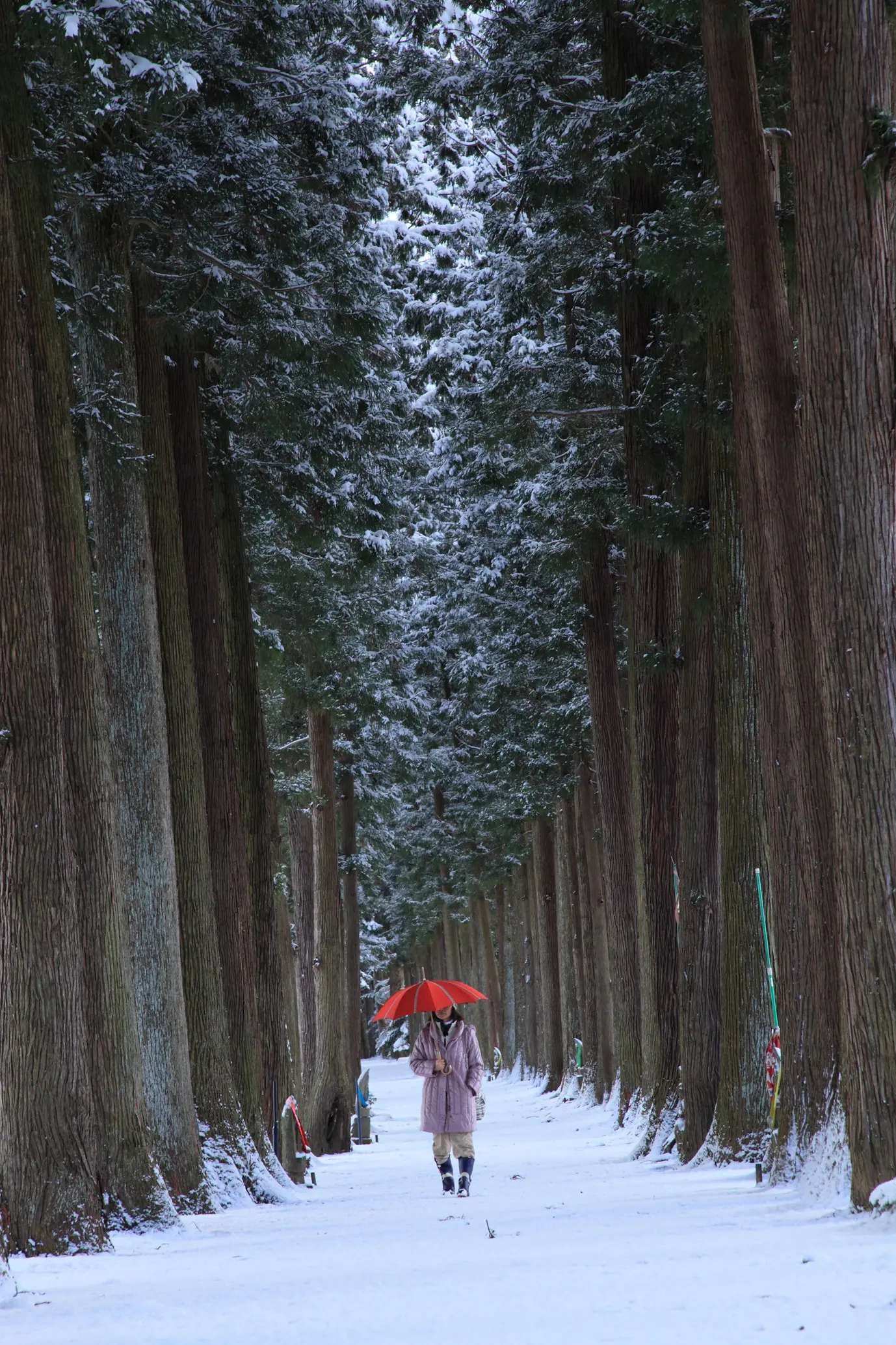眼目山立山寺-8