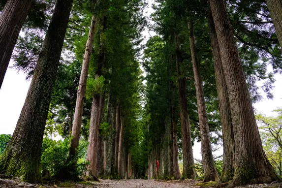 眼目山立山寺-0