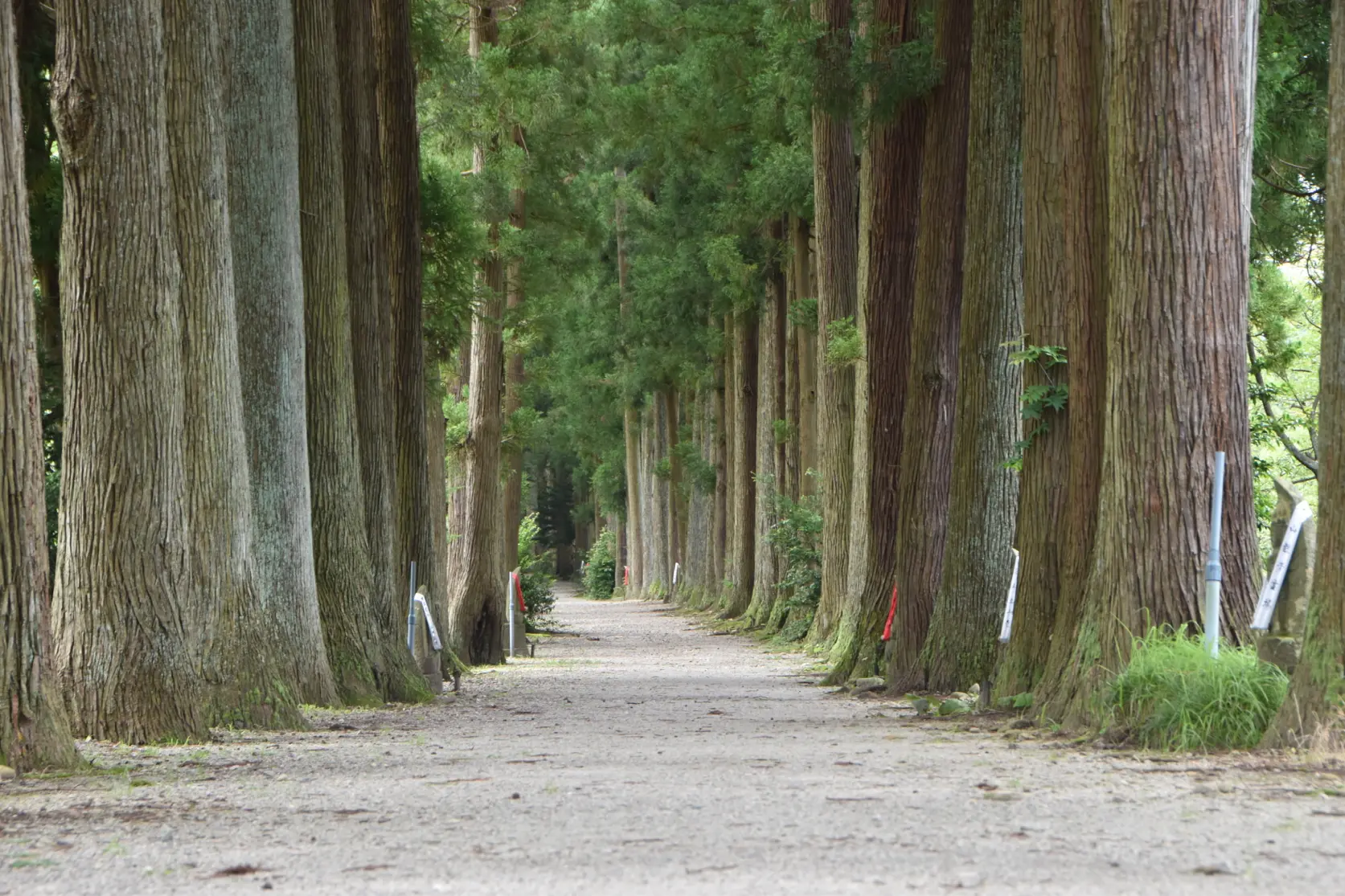 眼目山立山寺-2