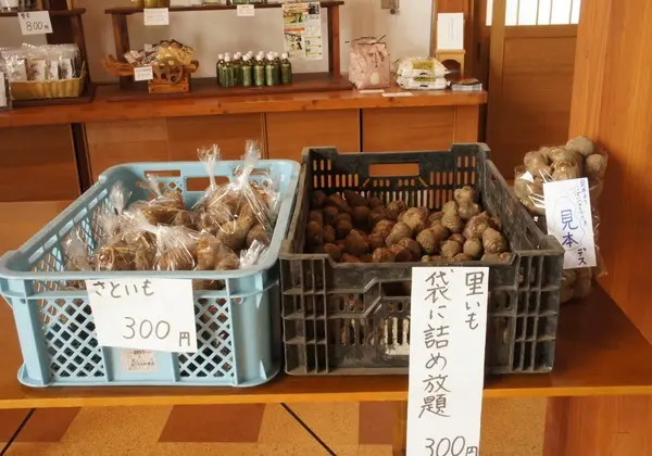 越中陶の里　陶農館-3
