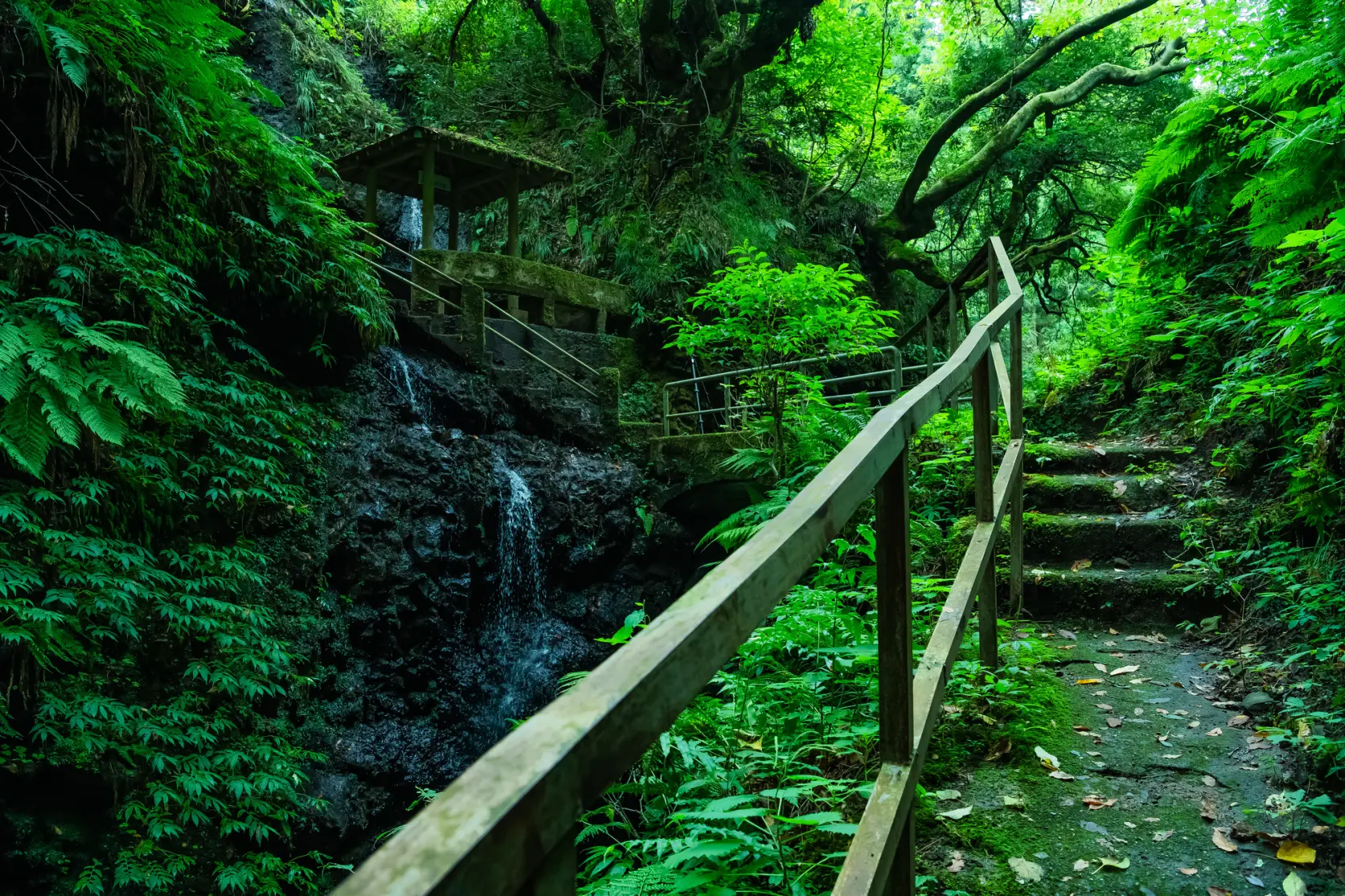 【通行止め】岩室の滝-2
