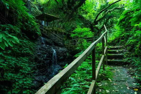 【通行止め】岩室の滝-2