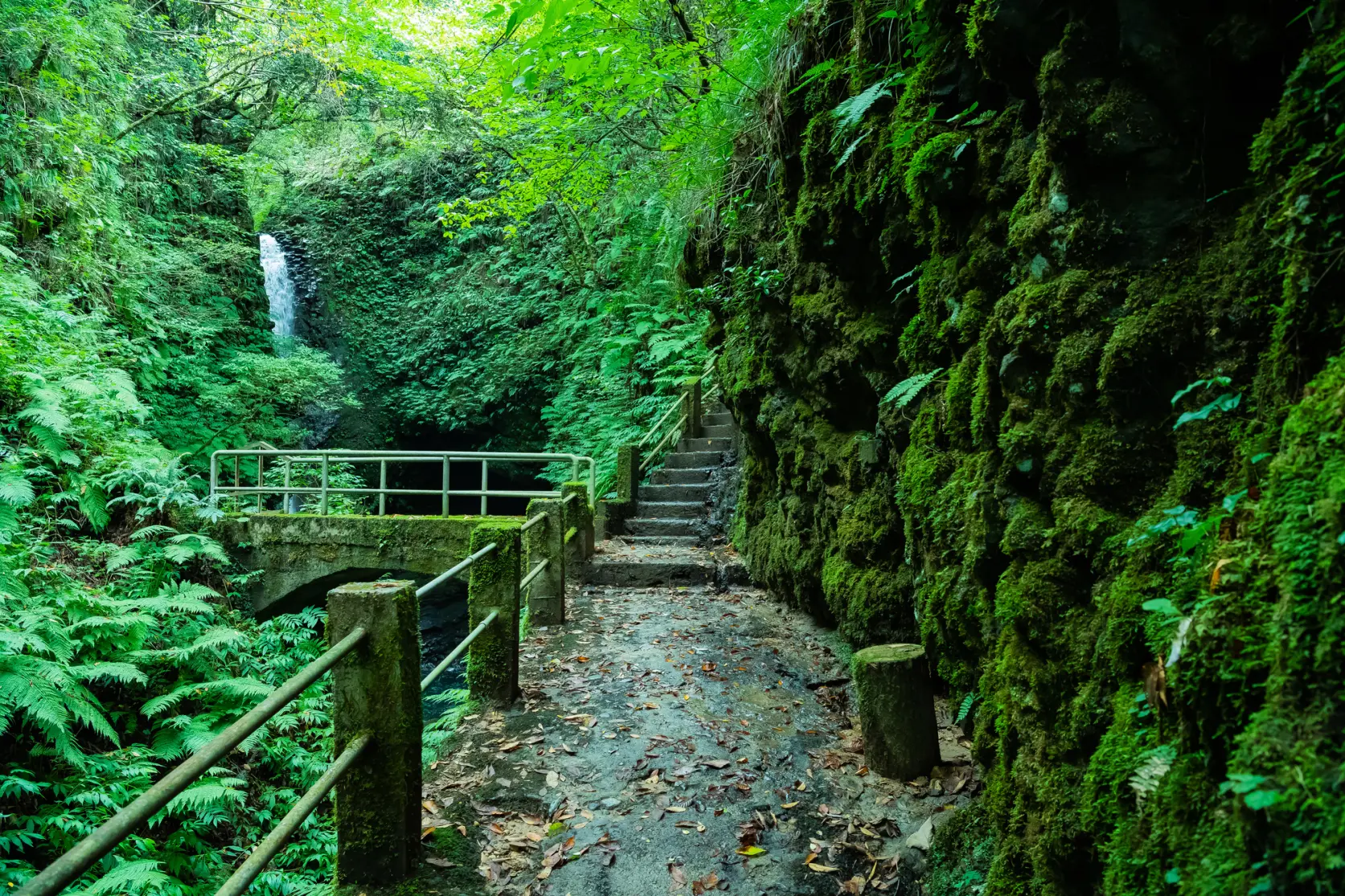 【通行止め】岩室の滝-1