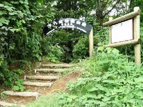 国立立山青少年自然の家キャンプ場-2