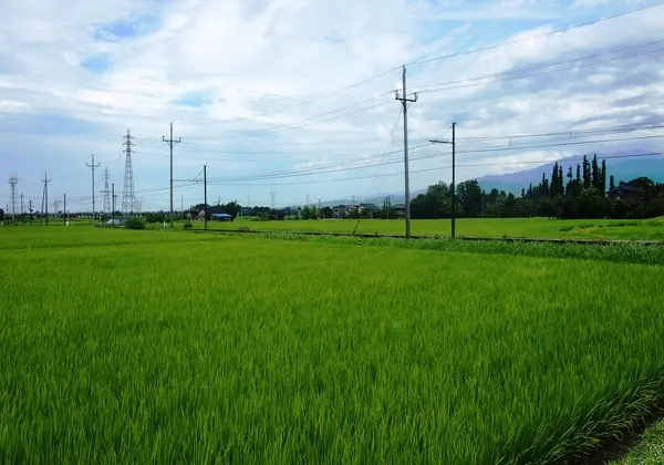 稚児塚古墳-3