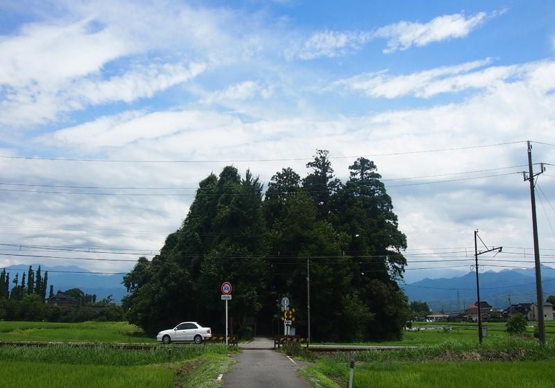 富山で唯一葺石を装備する大型円墳 