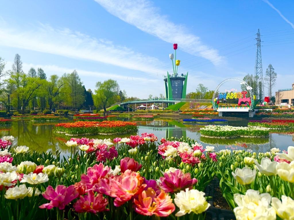 チューリップフェアの全域　@砺波市