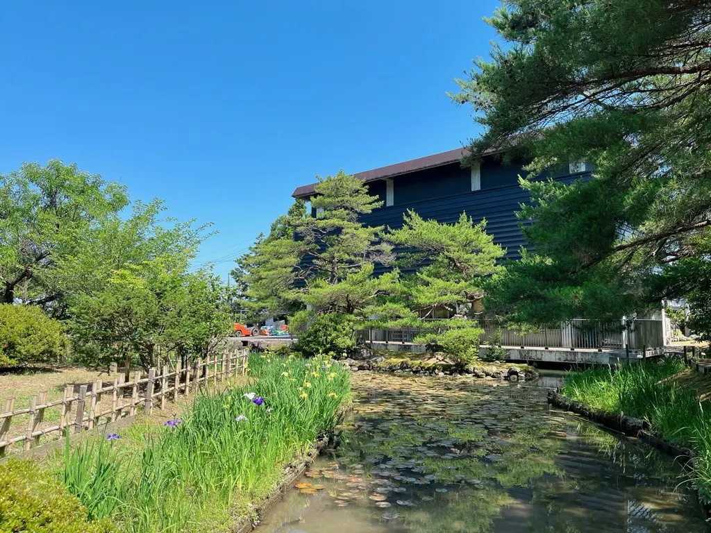 高瀬遺跡菖蒲祭り-6
