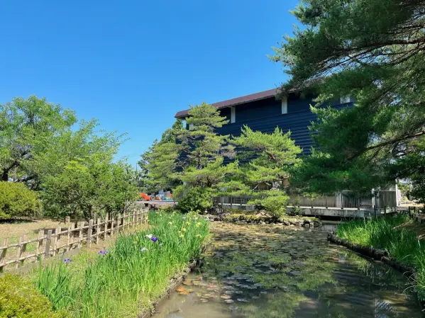 高瀬遺跡菖蒲祭り-6