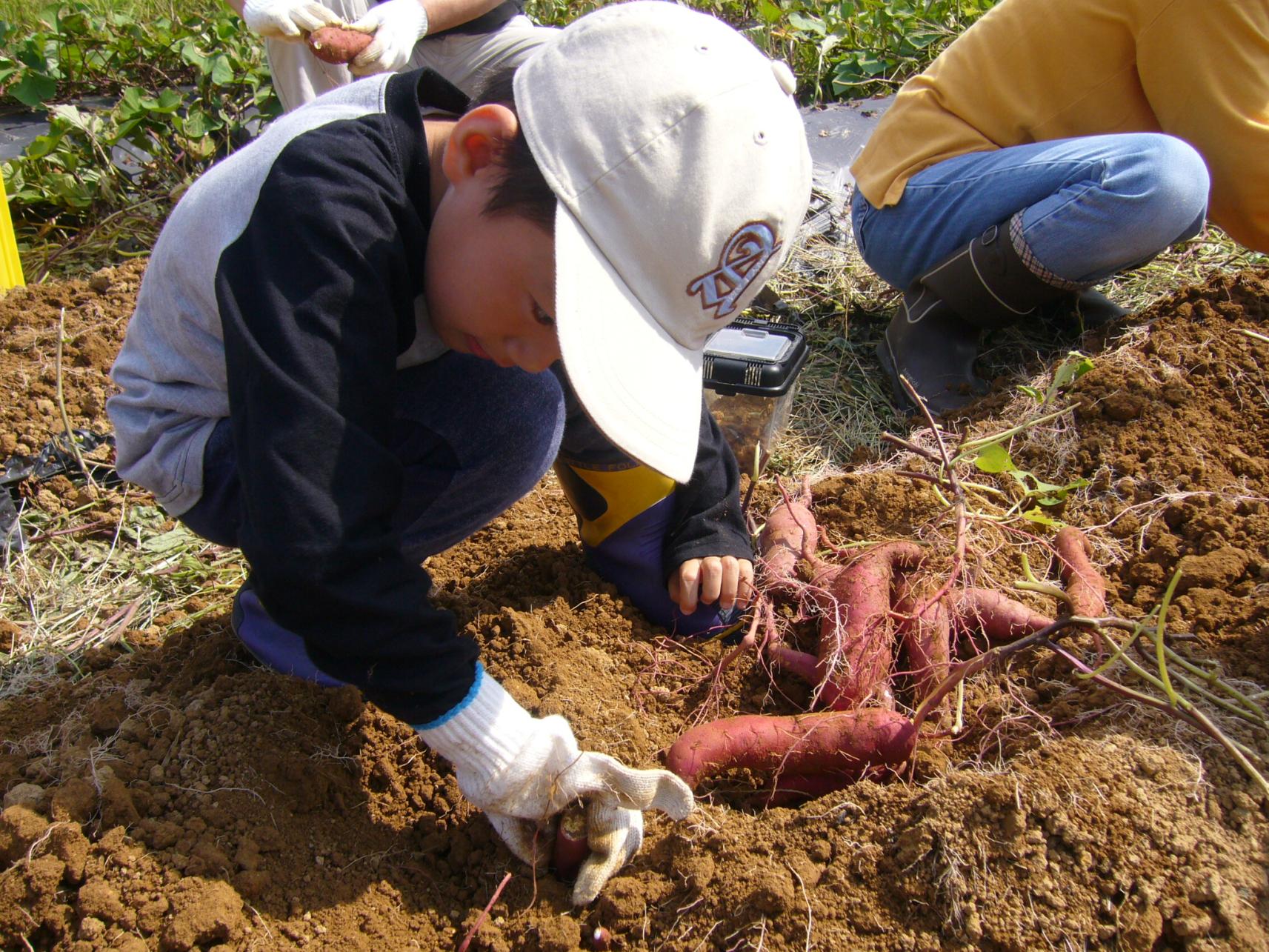 なんと彩菜まつり-1
