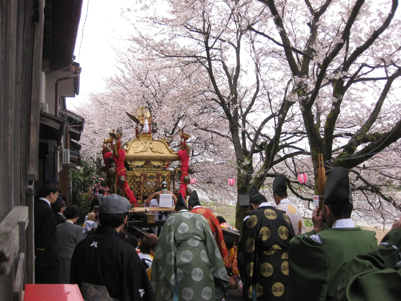 桜が舞う中 威勢のいい掛け声が飛び交う