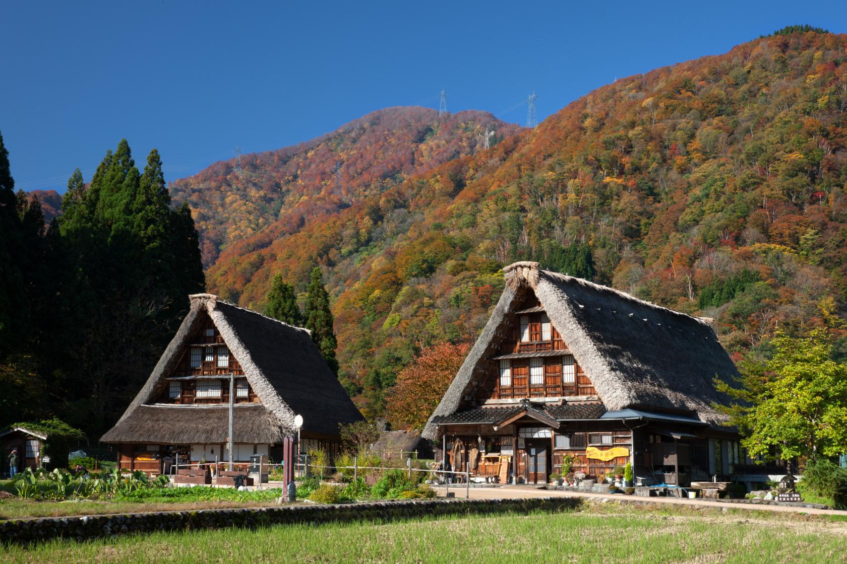 World Heritage – Suganuma Gassho-style Village-0